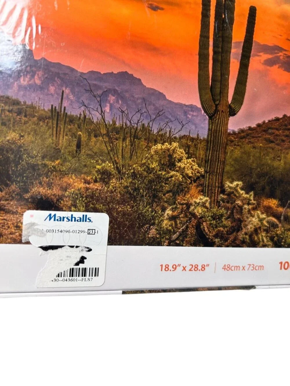 NEW Seesaw Sunset Cactus 1000-Piece Puzzle 18.9